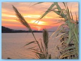picture-10